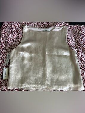 Aritzia Top